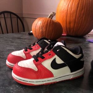 Nike Dunk Low EMB
NBA 75th Anniversary Chicago (TD)